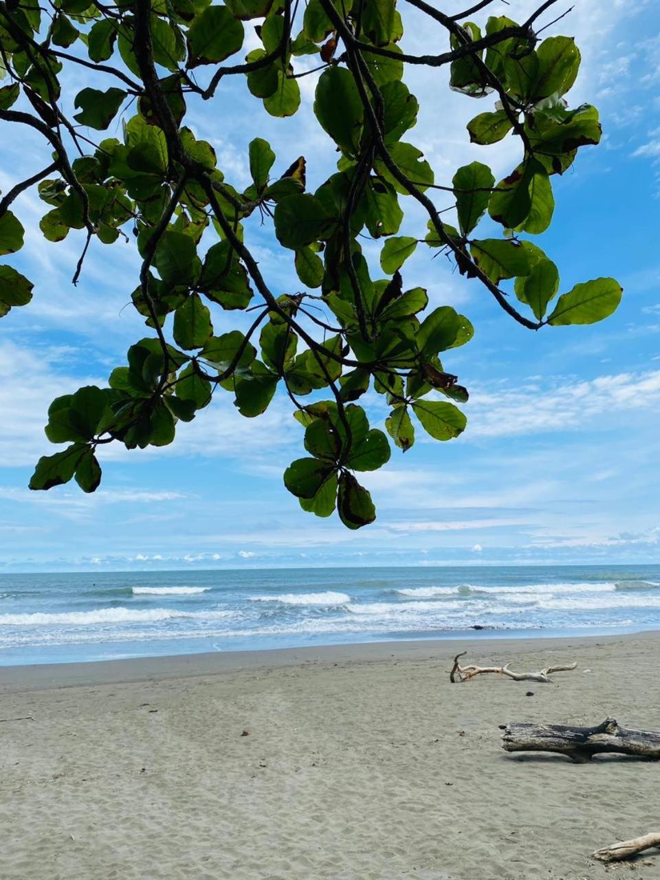 Casa Debut Surf Place Apartment
